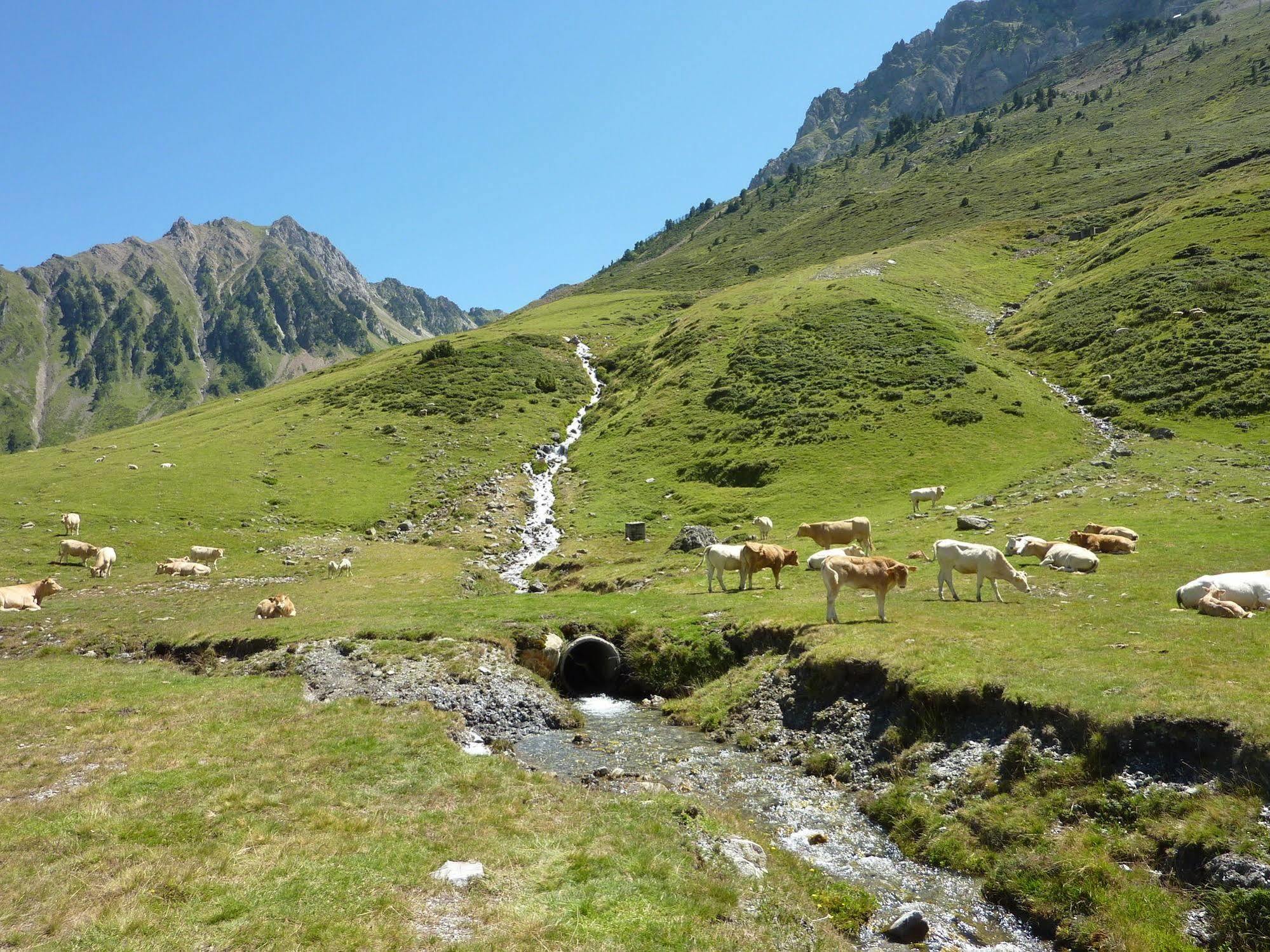 Résidence Mer&Golf Tourmalet La Mongie Exterior foto